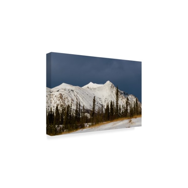 Brenda Petrella Photography Llc 'Stormy Peak' Canvas Art,22x32